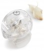 Martha Stewart Collection Garlic Zoom