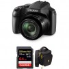 Panasonic Lumix DC-FZ80 Digital Camera with Free Accessory Kit