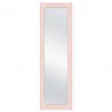 SALT Over the Door Mirror 16-Inch x 52-Inch