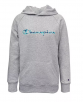 Champion Big Boys Embroidered Signature Hoodie $11.95 and more
