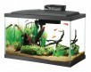 Petco: 50% Off Select Aqueon Standard Open Glass Aquarium Tanks (various sizes) from $10