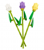 lego idea Seinfeld 21328 $79.99, Lego Tulips 9.99