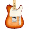 Fender Player Telecaster Plus Top Limited-Edition (Sienna Sunburst)