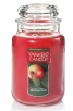 22-Oz Large Yankee Jar Candles (various scents) 2 for $18.6
