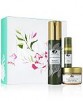 Origins 3-Pc. Love & Be Youthful Set + $20 Star Money + Free GWP