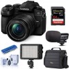 Panasonic Lumix G95 Mirrorless Camera w/ 12-60mm OIS Lens + Acc Bundle