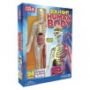 Squishy Human Body Anatomy Kit