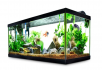 Petco: Select Aqueon Standard Open Glass Aquarium Tanks (Various Sizes) from $5