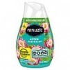 Walgreens:  7-Oz Renuzit Gel Air Freshener (various)on sale at 6 for $1.45