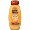 Walgreens: 12.5-fl-oz Garnier Whole Blends Shampoos & Conditioners 2 for $1.58