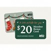 REI Co-op Member: Buy a single REI gift card worth $100, you
