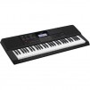 Casio CT-X700 61-Key Piano Style Standard Portable Keyboard