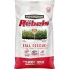 20-lb Pennington The Rebels Tall Fescue Grass Seed Blend
