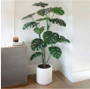 Costco Members: Select Faux Trees / Plants  Faux Monstera Tree $99.99, More