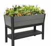 Keter Darwin Elevated Garden Bed
