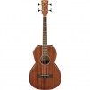 Ibanez Performance Parlor PNB14E Acoustic Electric Bass Guitar, Laurel Fretboard, Open Pore Natural