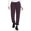 Eddie Bauer Fleece Lined Pant