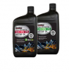 Kirkland signature motor oil
