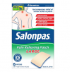 Salonpas 8-Hour Pain Relieving Patch Large 6.0ea