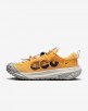 Nike ACG Mountain Fly 2 Low