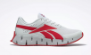 Reebok Zig Dynamica 2 Men