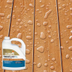 Select Home Depot Stores: 1 gal. WaterGuard Exterior Wood Stain and Sealer (various)