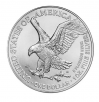 Costco Members: 2024 1 oz American Eagle Silver Coin, 20-count