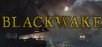Blackwake (PC Digital Download) for Free