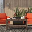 Wayfair: Big Outdoor Sale: Mcchesney Plastic Coffee Table for $99.99, More