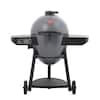 Char-Griller Akorn Auto-Kamado 20-inch Digital WiFi Charcoal Grill in Gray