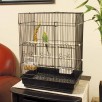 You & Me Square Top Parakeet Cage, 16.5" L X 11.8" W X 22" H