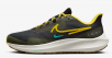 Nike Pegasus Shield Men
