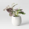 Target - 50% off Select Threshold Artificial Plants in Pots: 6" Mini Tabletop Polka Dot $2.5 & More