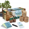 Target: Garden Republic Grow Kits for $12.49 each (Bonsai, Cactus and Succulent or Herbal Tea)