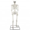 Haunted Living 10-ft Poseable Skeleton Yard Decoration