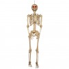 Lowes - Halloween Deals from $2 (Haunted Living 5-ft Hanging Skeleton with Red Eyes Decoration $34.98 & More)
