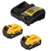 DEWALT 20-V 2-Pack Lithium-ion Battery and Charger (5 Ah) + Choice of 2 Free Tools