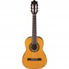 Ibanez Classical Series GA1 Acoustic Guitar with Spruce Top, Rosewood Fretboard, Amber High Gloss