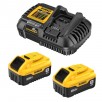 DEWALT 20-V 2-Pack Lithium-ion Battery and Charger (8 Ah)