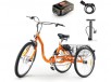 SuperHandy Adult Tricycle Electric Bike 250W Motor, (2) Lithium Batteries