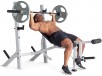 Woot - Weightlifting from CAP Barbell, Weider, & More: Weider Platinum Olympic Weight Bench and Rack $79.99 & More