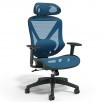 Staples Dexley Ergonomic Mesh Swivel Task Chair (Blue, Gray, Black) + Tru Red Balance Board