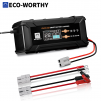 ECO-WORTHY 12V/24V 20A Lithium LifePO4 Battery Charger 14.6V Maintenance