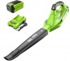 Greenworks 40V Leaf Blower/Sweeper