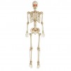 Home Depot - 45-50% Off Halloween Decorations: 5