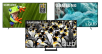 Woot - Samsung TVs (Factory Reconditioned with Samsung Warranty!)