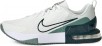Nike Mens Air Max Alpha Trainer 6   (Summit White/Seaweed/Light Silver)