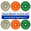 100-Lb BalanceFrom Bumper Plate with Steel Hub, Colored