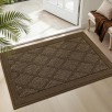 20" x 32" Cosy Homeer Non-Slip Washable Entryway Rug (Dark Brown)