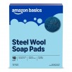 10-Count Amazon Basics Steel Wool Soap Pads